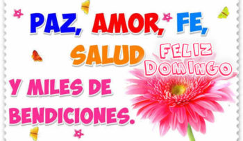 domingo frases