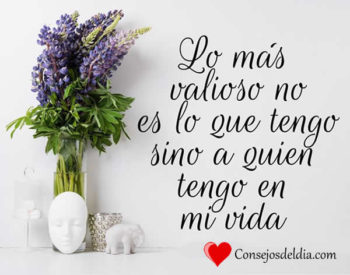 amor amor