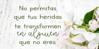 frases de no permitir