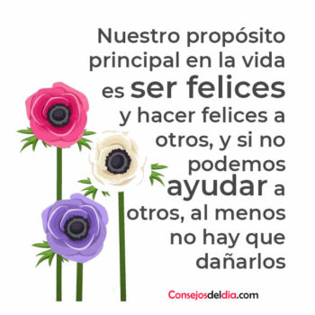 Felicidad frases