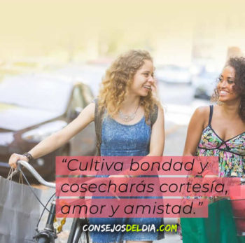 bondad frases
