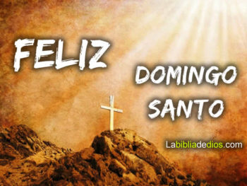 domingo santo frases