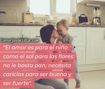 amor frases