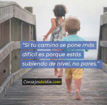 camino frases