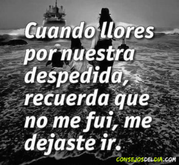 despedida frases