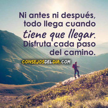 camino frases