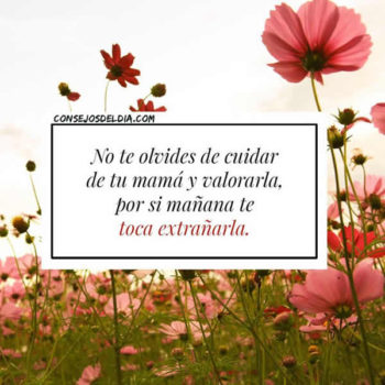 frases para extrañar