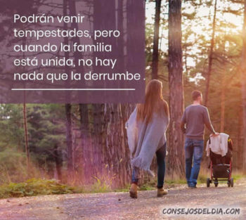 familia frases