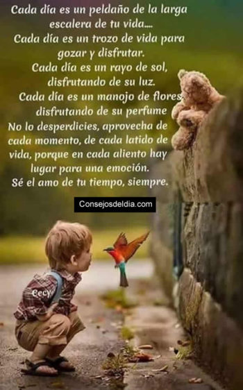 frases cada dia