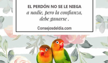 confianza frases