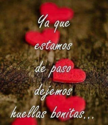 bonito amor