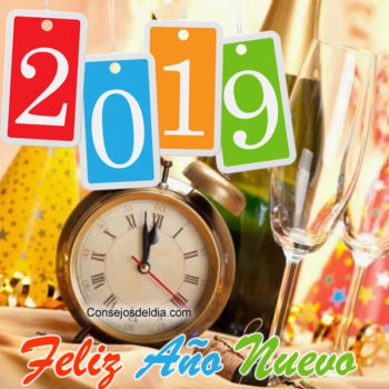 año 2019