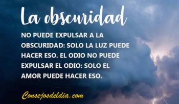 frases amor