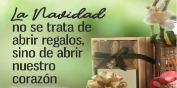 la navidad