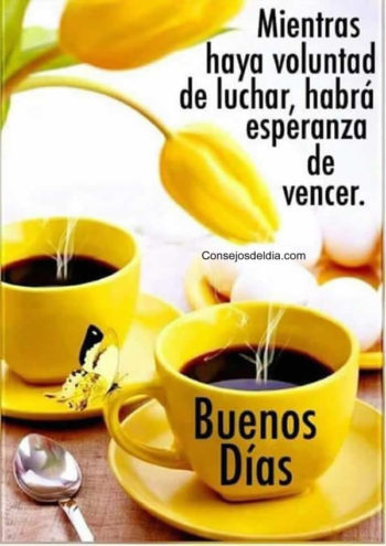 voluntad frases
