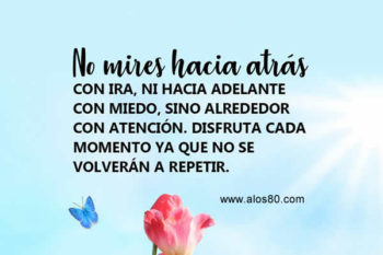 disfrutar