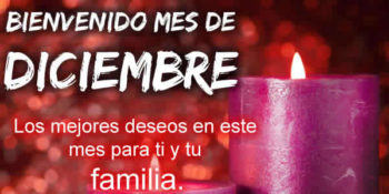 diciembre frases