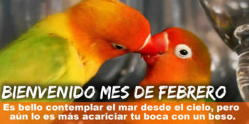 frases febrero