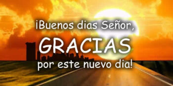 nuevo dia