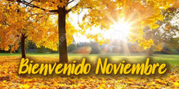 imagenes noviembre