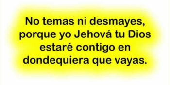no temas frases