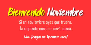 noviembre