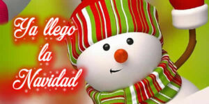 llego la navidad