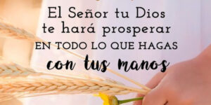 prosperidad frases