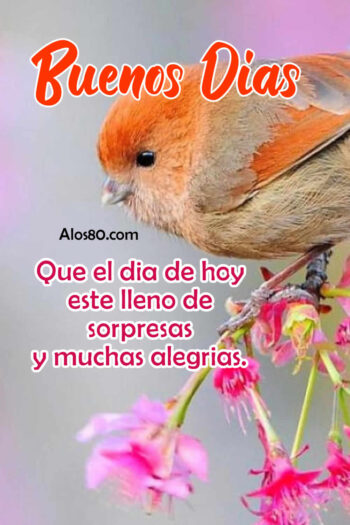 buenos dias