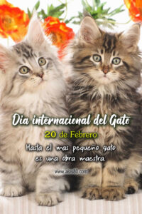 dia internacional del gato