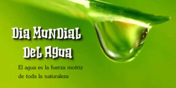dia mundial del agua