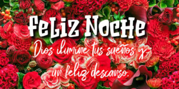 frases linda noche