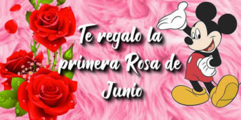fotos junio