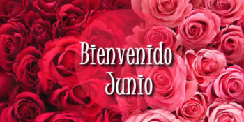 frases junio