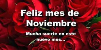 noviembre frases